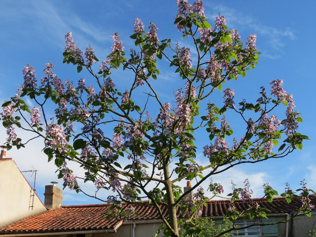 L'Aubinoise Bed & Breakfast Saint-Aubin-la-Plaine Exterior photo